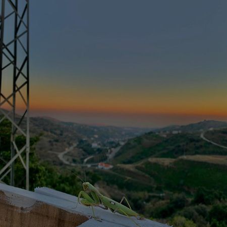 Casa Rural Malaga Monkey Love Con Jacuzzi Iznate エクステリア 写真